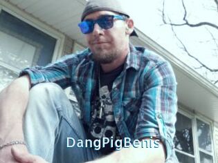 DangPigBenis