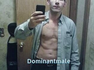 Dominantmale