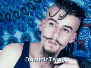DominicTerrier