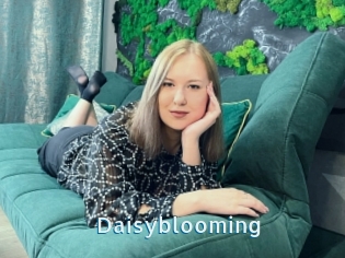 Daisyblooming