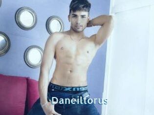 Daneil_torus