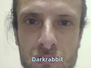 Darkrabbit