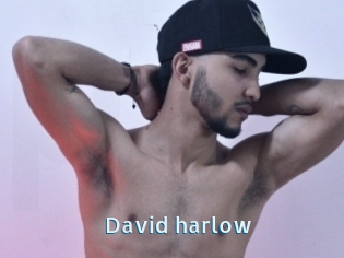 David_harlow
