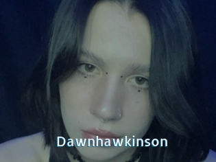 Dawnhawkinson