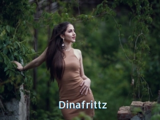 Dinafrittz