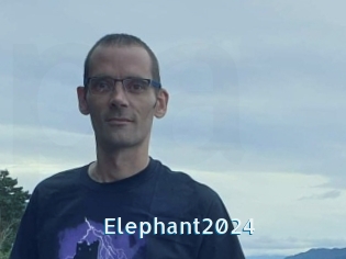 Elephant2024