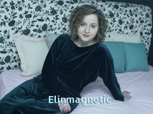 Elinmagnetic