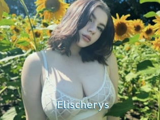 Elischerys