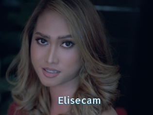 Elisecam