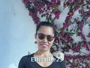 Ellisville23