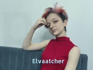 Elvaatcher