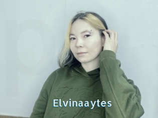 Elvinaaytes
