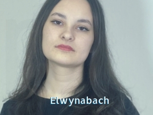 Elwynabach