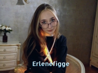 Erlenefigge