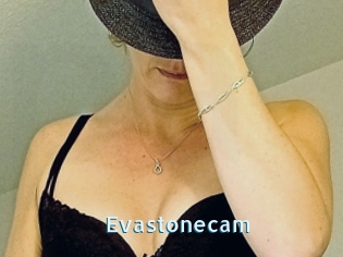 Evastonecam