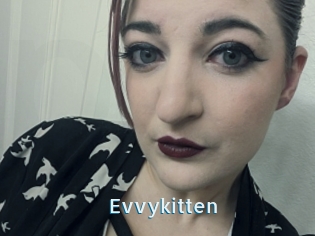 Evvykitten