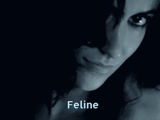 Feline