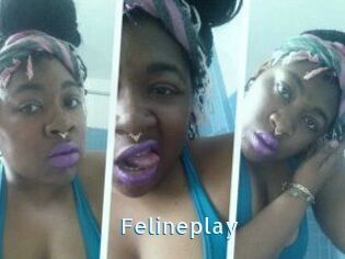 Felineplay