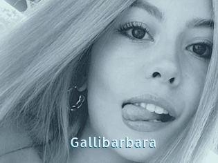 Gallibarbara