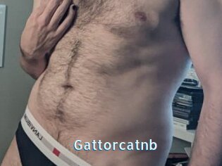 Gattorcatnb