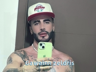 Gawainn_zeldris