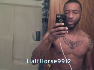 HalfHorse9912