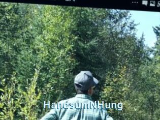 HandsumNHung
