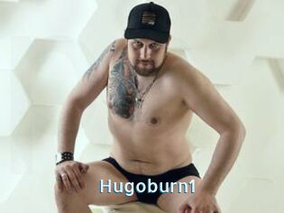 Hugoburn1