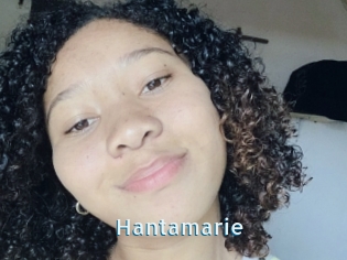 Hantamarie