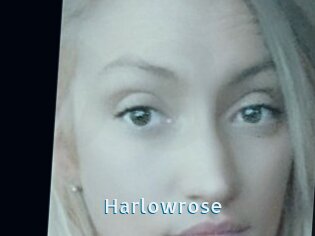 Harlowrose