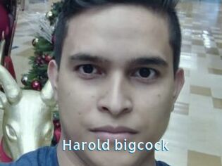 Harold_bigcock