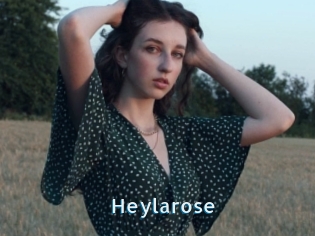 Heylarose