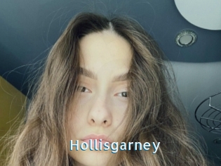 Hollisgarney