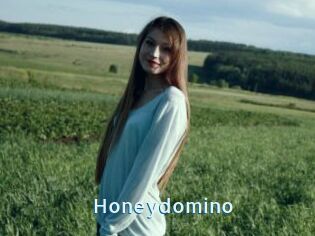 Honeydomino