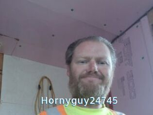 Hornyguy24745