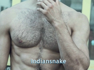 Indiansnake