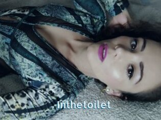 Inthetoilet