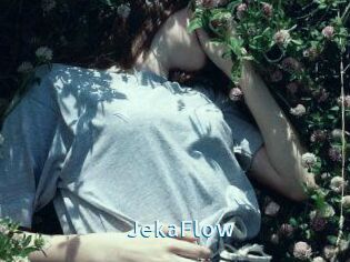 JekaFlow
