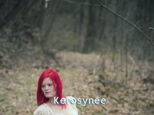 Kerosynee