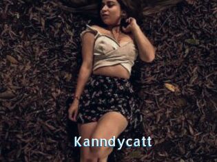 Kanndycatt