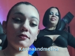 Karinaandmelisa