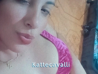 Kattecavalli