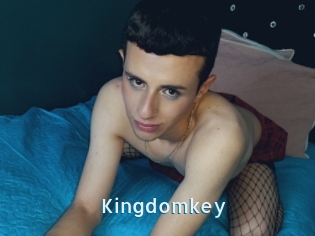 Kingdomkey