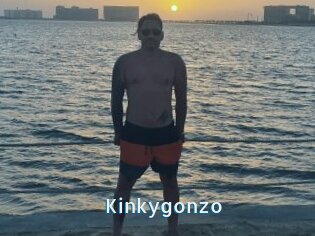 Kinkygonzo