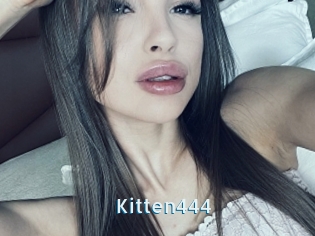 Kitten444
