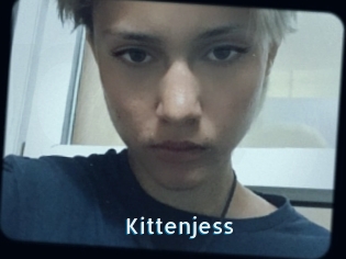 Kittenjess