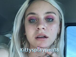 Kittysplaypen18