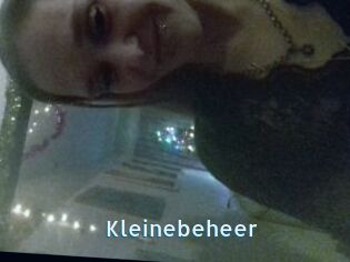 Kleinebeheer