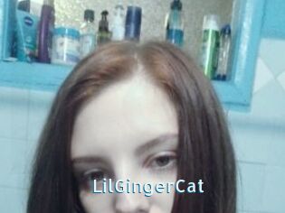 LilGingerCat