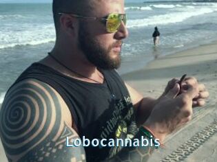 Lobocannabis